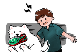 15. Cho Phép & Cấm Chỉ