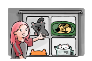 28. Trình bày/ Liệt kê