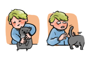 39. Nguyên nhân/ Lý do